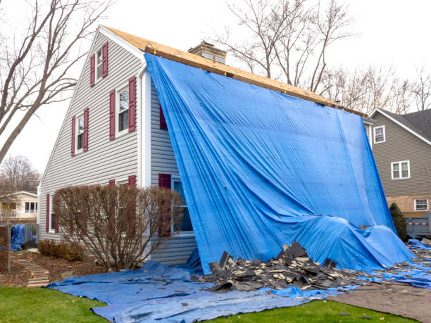 Best Stone Veneer Siding  in Oakwood, OH